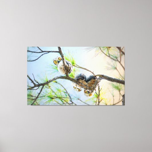 Funny Great Horned Owlets Fine Art Wildlife Canvas (Voorkant)