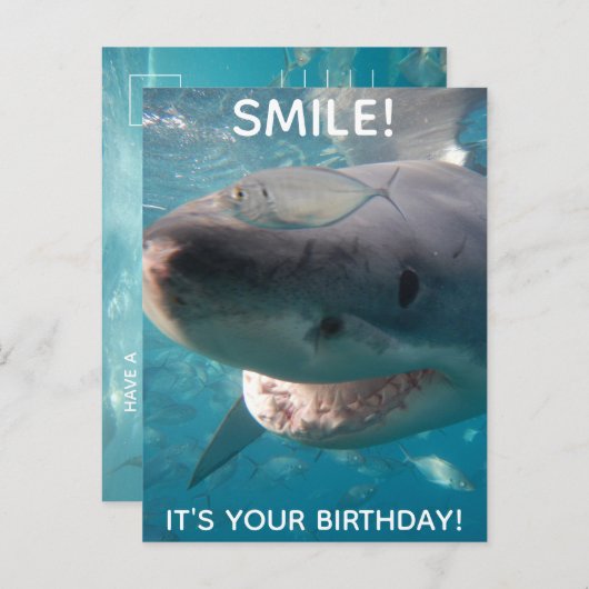 Funny Great White Shark Birthday Briefkaart (Voorkant / Achterkant)