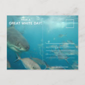 Funny Great White Shark Birthday Briefkaart (Achterkant)