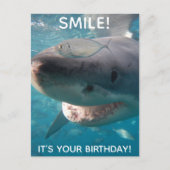 Funny Great White Shark Birthday Briefkaart (Voorkant)