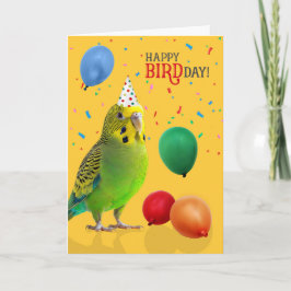 Funny Green and Yellow Budgie Parakeet Birthday Kaart