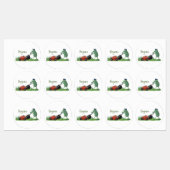 Funny green frog mowing grawn cartoon labels (Vel)