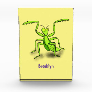 Funny green praing mantis cartoon illustratie fotoblokken