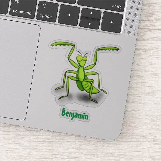 Funny green praing mantis cartoon illustratie sticker (Detail)