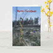 Funny greetings card kaart (Gele Bloem)