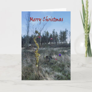 Funny greetings card kaart