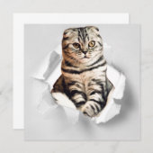 Funny Grey Cat Popping door Torn Paper Illusion (Voorkant / Achterkant)