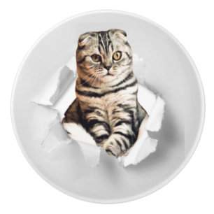 Funny Grey Cat Popping door Torn Paper Illusion Keramische Knop