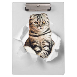 Funny Grey Cat Popping door Torn Paper Illusion Klembord