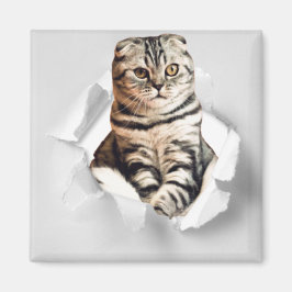 Funny Grey Cat Popping door Torn Paper Illusion Magneet