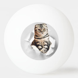 Funny Grey Cat Popping door Torn Paper Illusion Pingpongbal
