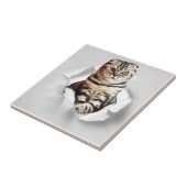 Funny Grey Cat Popping door Torn Paper Illusion Tegeltje (Zijkant)