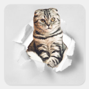 Funny Grey Cat Popping door Torn Paper Illusion Vierkante Sticker