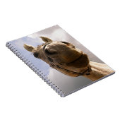 Funny Grey Horse Nose sluit af Notitieboek (Rechterzijde)