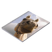 Funny Grey Horse Nose sluit af Notitieboek (Linkerzijde)