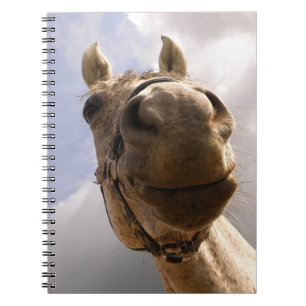 Funny Grey Horse Nose sluit af Notitieboek