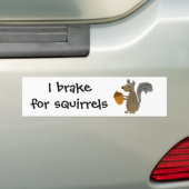 Funny Grey Squirrel met Acorn Bumpersticker (Op auto)