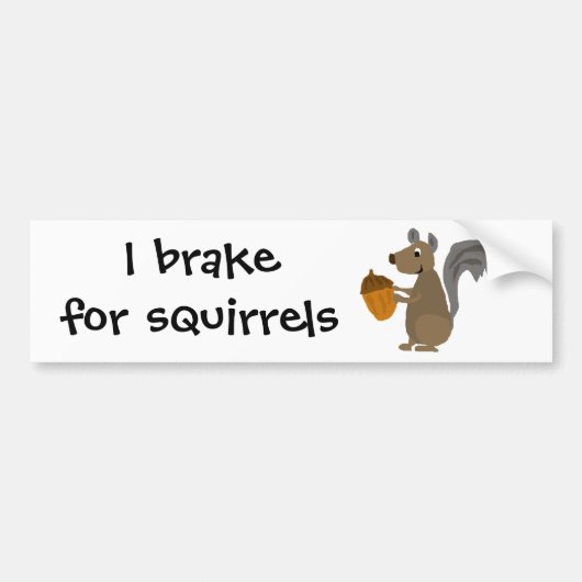 Funny Grey Squirrel met Acorn Bumpersticker (Voorkant)