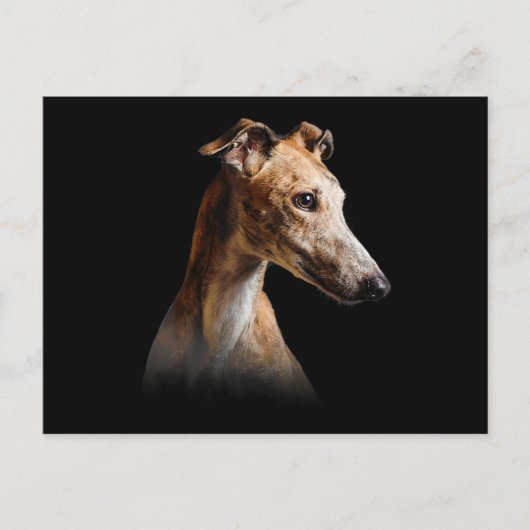 Funny Greyhound Face Greyhound Smile greyhound Feestdagenkaart (Voorkant)