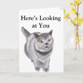 Funny grijs vet kat kaart (Gele Bloem)