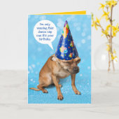Funny Grimacing Chihuahua Birthday Dunce Pet Kaart (Gele Bloem)