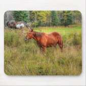 Funny Grinning Chestnut Mare & Pasture Foto Muismat (Voorkant)