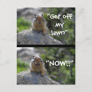 Funny Ground Squirrel Briefkaart