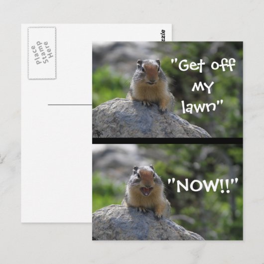 Funny Ground Squirrel Briefkaart (Voorkant / Achterkant)