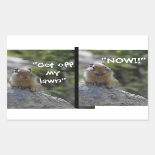 Funny Ground Squirrel Ga van mijn eigen grawn af Rechthoekige Sticker