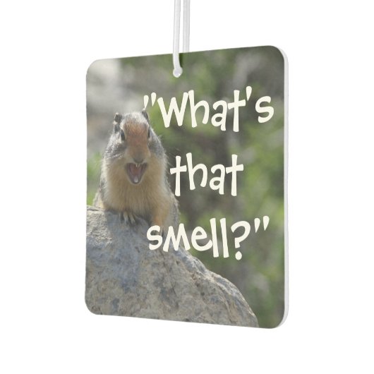 Funny Ground Squirrel Luchtverfrisser (Links)