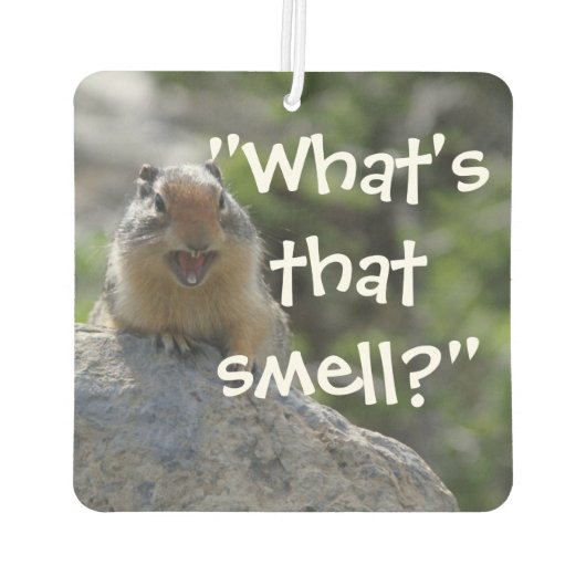 Funny Ground Squirrel Luchtverfrisser (Achterkant)