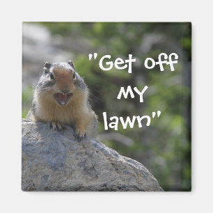 Funny Ground Squirrel Magneet