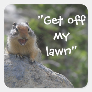 Funny Ground Squirrel Vierkante Sticker