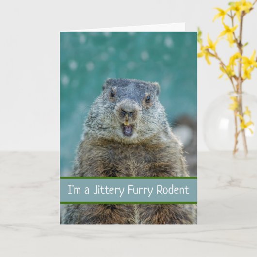 Funny Groundhog Day met Jittery Furry Rodent Kaart (Gele Bloem)