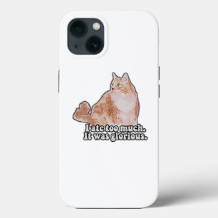 Funny grumpy cat meme for cat and kat lovers Case-Mate iPhone case
