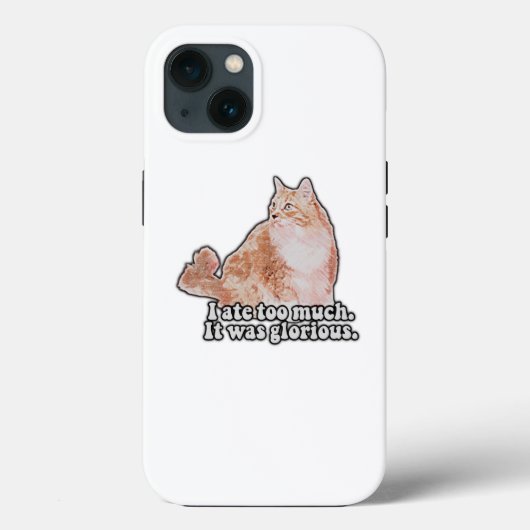 Funny grumpy cat meme for cat and kat lovers Case-Mate iPhone case (Achterkant)