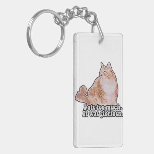 Funny grumpy cat meme for cat and kat lovers sleutelhanger (Voorkant Links)