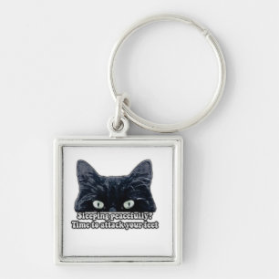 Funny grumpy cat meme for kitten eigenaars en katt sleutelhanger