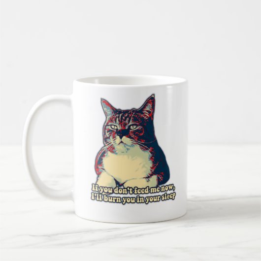 Funny grumpy cat meme voor eigenaars van katten en koffiemok (Links)
