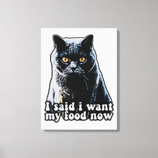 Funny grumpy cat meme voor katteneigenaars en -lie canvas afdruk (Voorkant)