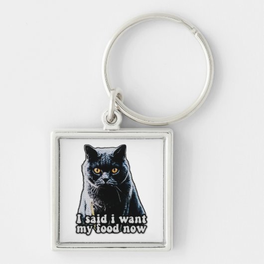 Funny grumpy cat meme voor katteneigenaars en -lie sleutelhanger (Voorkant)