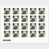 Funny Grumpy French Bulldog Ik ken je trucjes Vierkante Sticker (Vel)