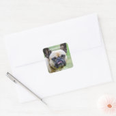 Funny Grumpy French Bulldog Ik ken je trucjes Vierkante Sticker (Envelop)
