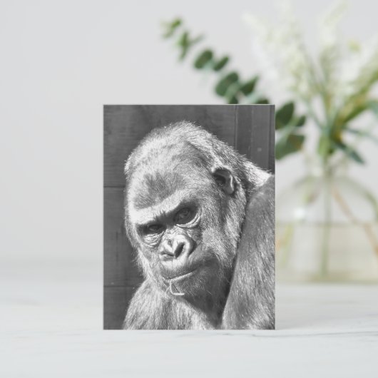 FUNNY GRUMPY GORILLA BRIEFKAART (Staand voorkant)