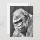 FUNNY GRUMPY GORILLA BRIEFKAART (Voorkant / Achterkant)