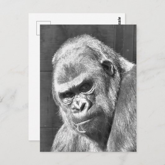 FUNNY GRUMPY GORILLA BRIEFKAART (Voorkant / Achterkant)