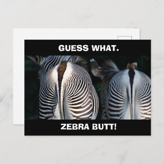 Funny Guess What Zebra Butt Wildlife Briefkaart (Voorkant / Achterkant)