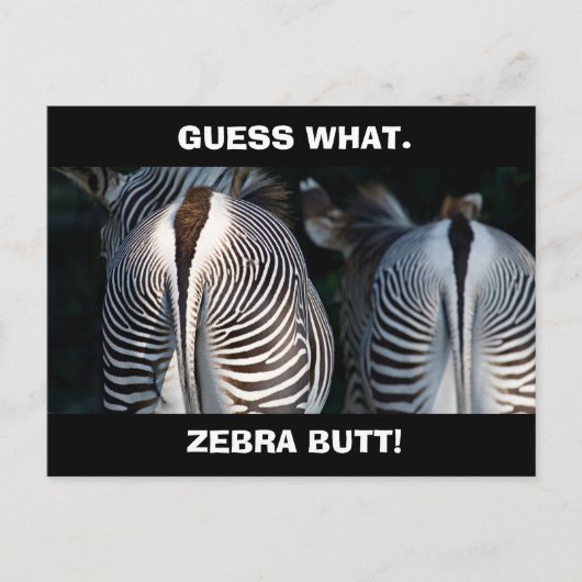 Funny Guess What Zebra Butt Wildlife Briefkaart (Voorkant)