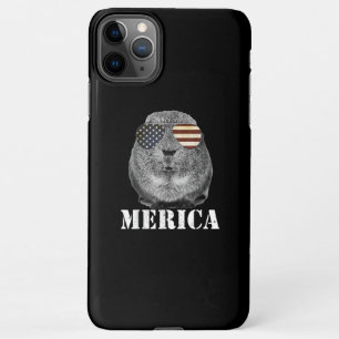 Funny Guinea Pig Merica Patriotic Usa Vlag iPhone 11Pro Max Hoesje