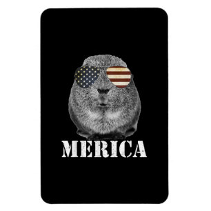 Funny Guinea Pig Merica Patriotic Usa Vlag Magneet